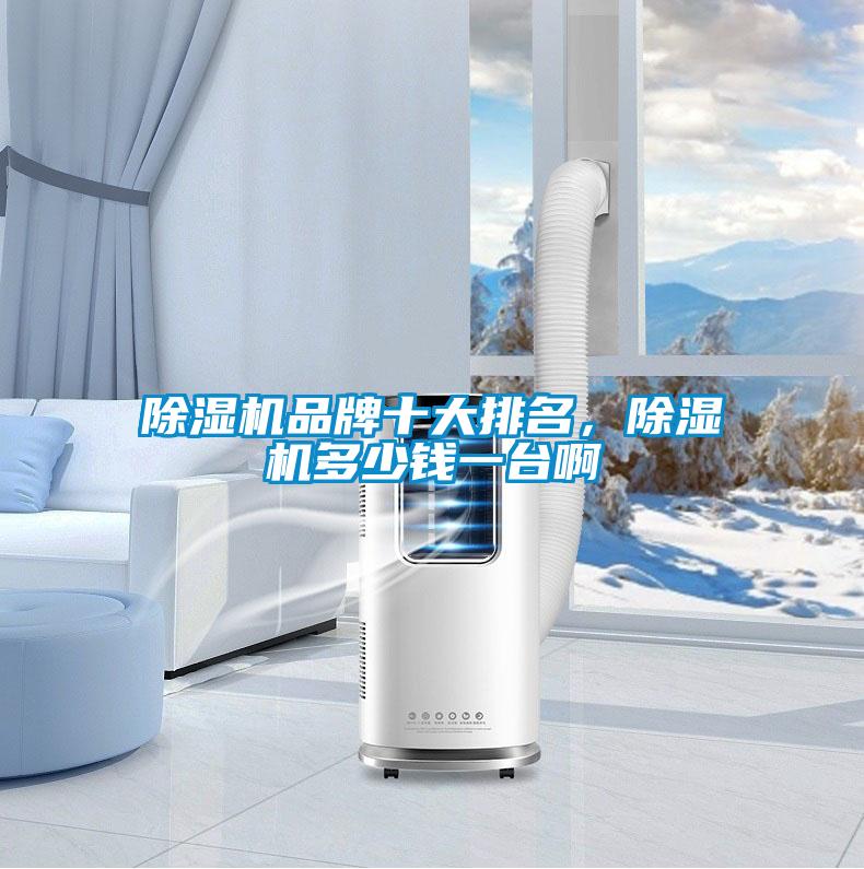 除濕機(jī)品牌十大排名，除濕機(jī)多少錢一臺(tái)啊