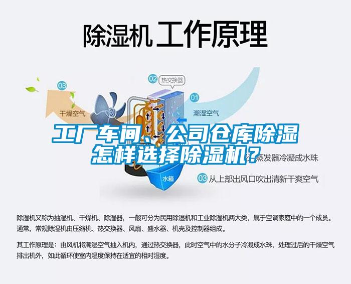 工廠車間、公司倉庫除濕怎樣選擇除濕機(jī)？