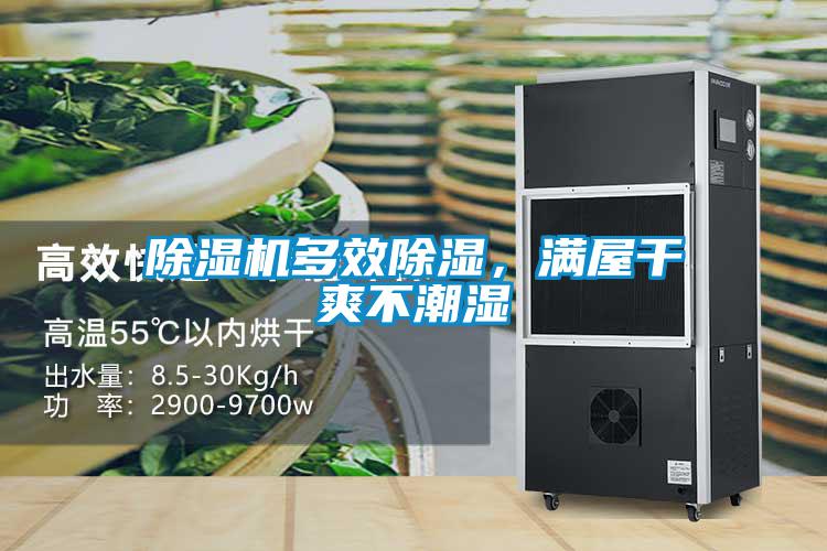 除濕機多效除濕，滿屋干爽不潮濕