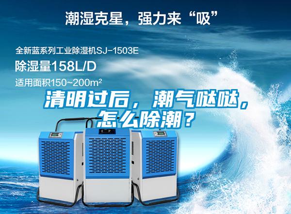 清明過后，潮氣噠噠，怎么除潮？