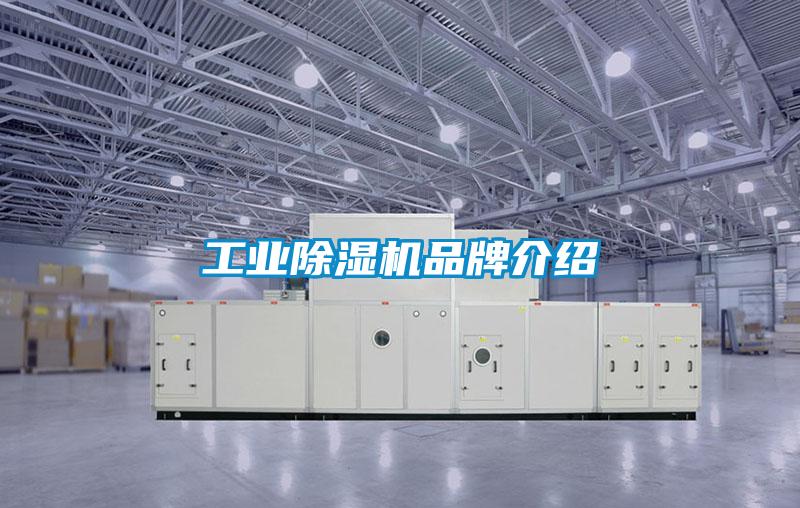 工業除濕機品牌介紹