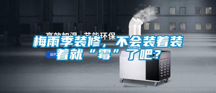 梅雨季裝修，不會裝著裝著就“霉”了吧？