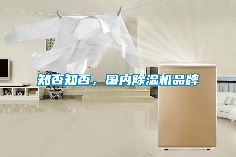 知否知否，國內(nèi)除濕機品牌