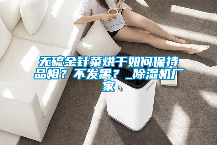 無硫金針菜烘干如何保持品相？不發黑？_除濕機廠家