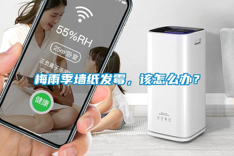 梅雨季墻紙發霉，該怎么辦？