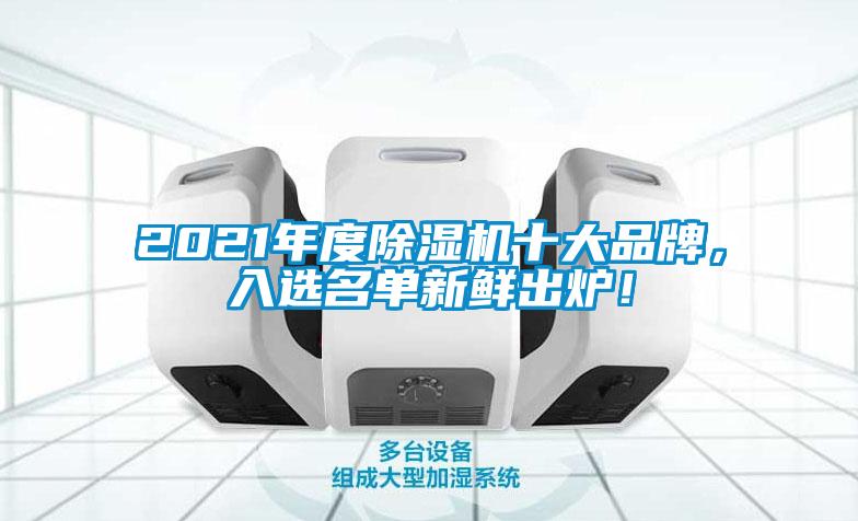 2021年度除濕機(jī)十大品牌，入選名單新鮮出爐！