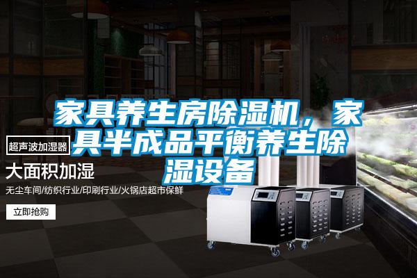 家具養(yǎng)生房除濕機，家具半成品平衡養(yǎng)生除濕設(shè)備