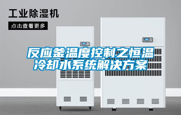 反應釜溫度控制之恒溫冷卻水系統解決方案