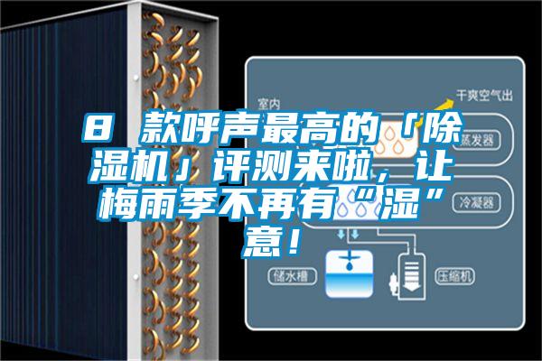 8 款呼聲最高的「除濕機」評測來啦，讓梅雨季不再有“濕”意！