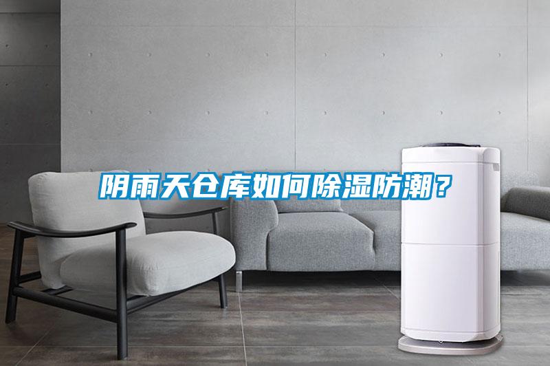 陰雨天倉(cāng)庫(kù)如何除濕防潮？