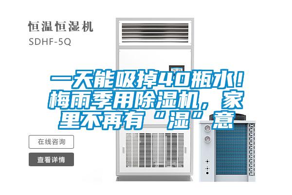 一天能吸掉40瓶水！梅雨季用除濕機，家里不再有“濕”意