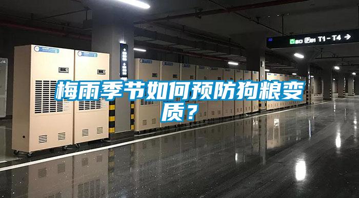梅雨季節如何預防狗糧變質？
