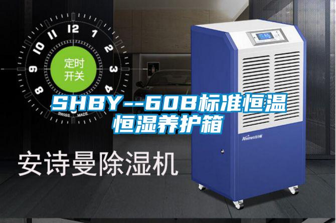 SHBY--60B標準恒溫恒濕養(yǎng)護箱