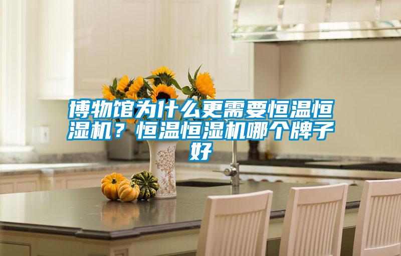博物館為什么更需要恒溫恒濕機？恒溫恒濕機哪個牌子好