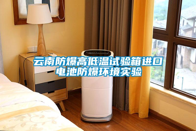 云南防爆高低溫試驗箱進口電池防爆環境實驗