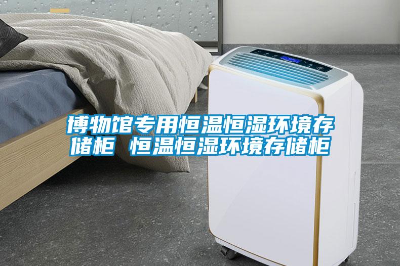 博物館專用恒溫恒濕環境存儲柜 恒溫恒濕環境存儲柜