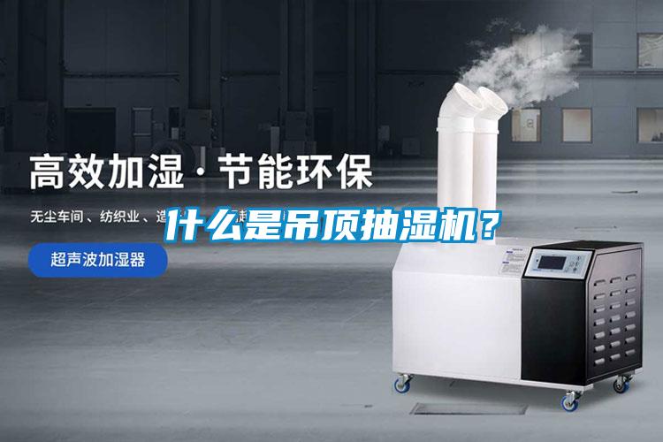 什么是吊頂抽濕機(jī)?