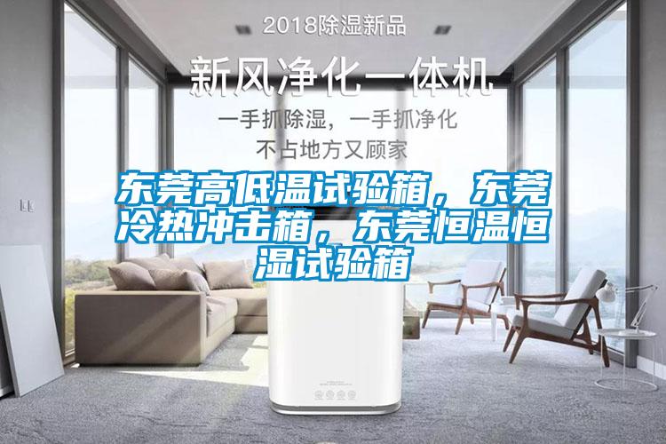 東莞高低溫試驗(yàn)箱，東莞冷熱沖擊箱，東莞恒溫恒濕試驗(yàn)箱