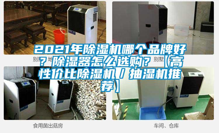 2021年除濕機(jī)哪個(gè)品牌好？除濕器怎么選購？【高性價(jià)比除濕機(jī)／抽濕機(jī)推薦】