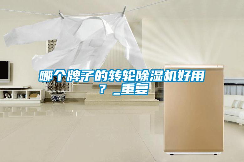 哪個牌子的轉輪除濕機好用？_重復