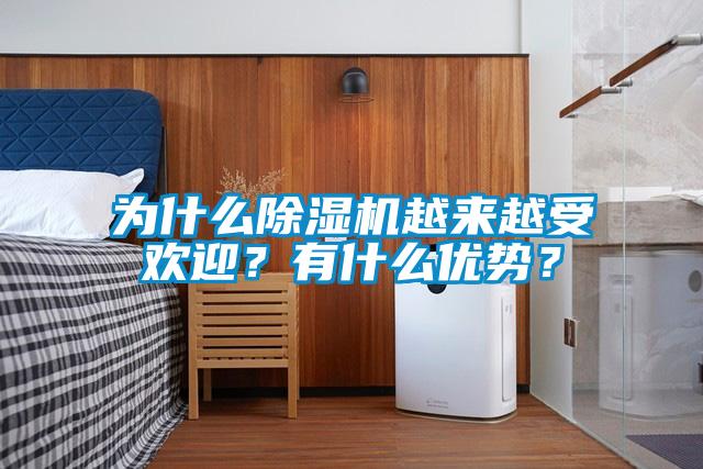 為什么除濕機(jī)越來越受歡迎？有什么優(yōu)勢？