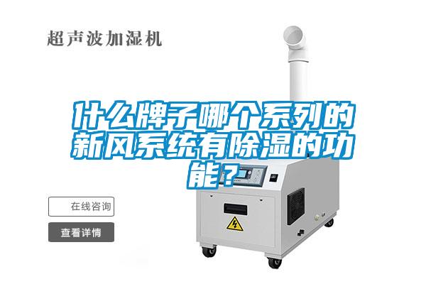 什么牌子哪個(gè)系列的新風(fēng)系統(tǒng)有除濕的功能？