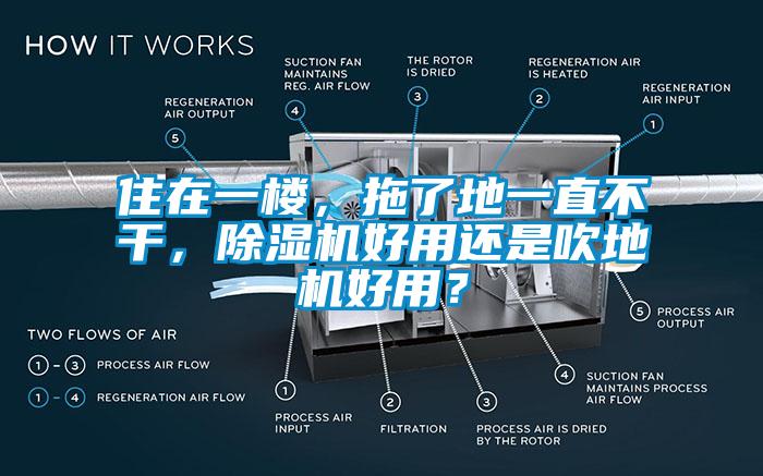 住在一樓，拖了地一直不干，除濕機好用還是吹地機好用？