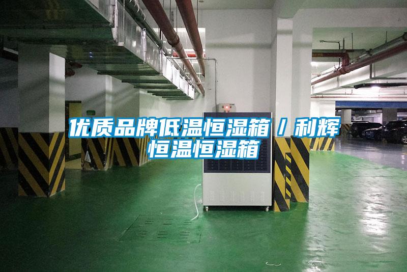 優質品牌低溫恒濕箱／利輝恒溫恒濕箱