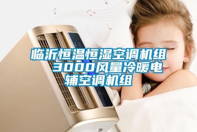 臨沂恒溫恒濕空調機組  3000風量冷暖電輔空調機組
