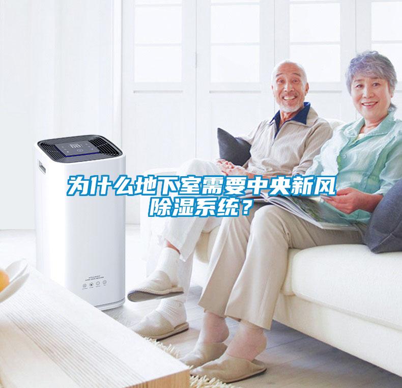 為什么地下室需要中央新風除濕系統？