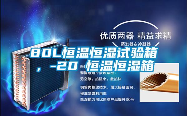 80L恒溫恒濕試驗箱，-20℃恒溫恒濕箱
