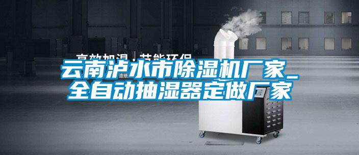 云南瀘水市除濕機(jī)廠(chǎng)家_全自動(dòng)抽濕器定做廠(chǎng)家