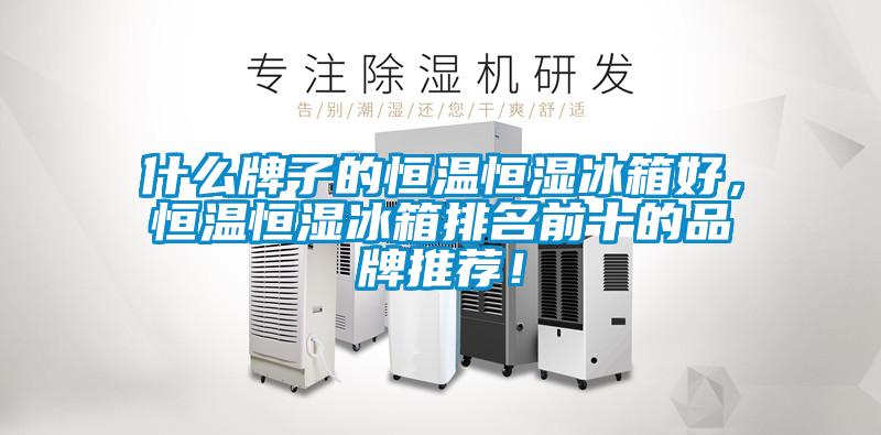什么牌子的恒溫恒濕冰箱好，恒溫恒濕冰箱排名前十的品牌推薦！