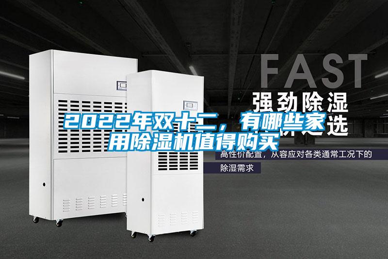 2022年雙十二，有哪些家用除濕機(jī)值得購買