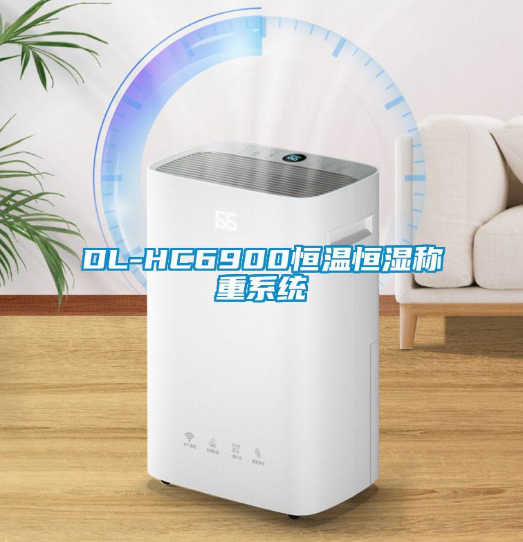 DL-HC6900恒溫恒濕稱重系統