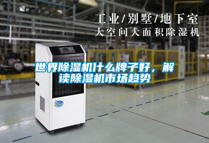 世界除濕機什么牌子好，解讀除濕機市場趨勢