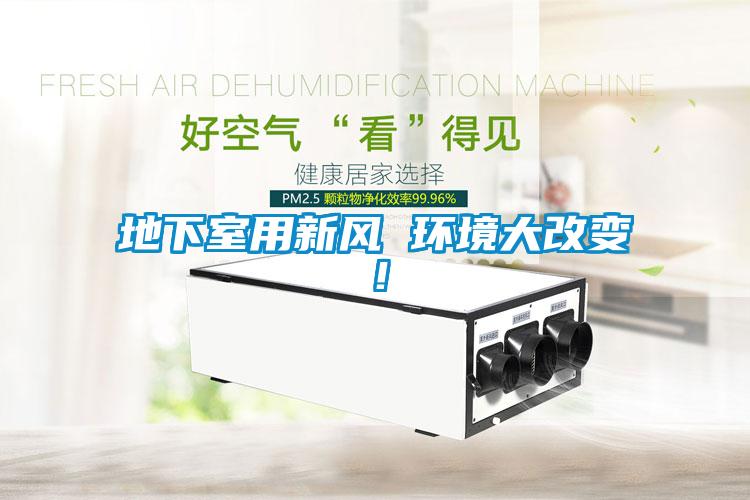地下室用新風 環境大改變！
