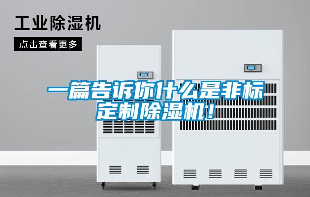 一篇告訴你什么是非標定制除濕機！