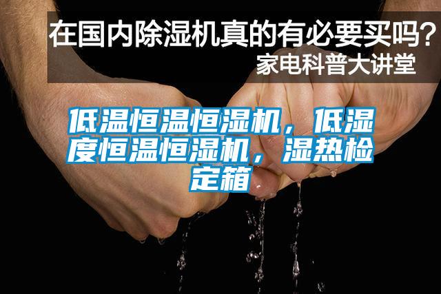 低溫恒溫恒濕機，低濕度恒溫恒濕機，濕熱檢定箱