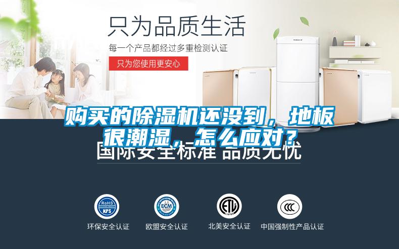 購買的除濕機還沒到，地板很潮濕，怎么應對？
