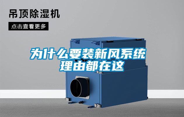 為什么要裝新風系統 理由都在這