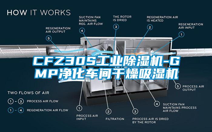 CFZ30S工業(yè)除濕機(jī)-GMP凈化車(chē)間干燥吸濕機(jī)