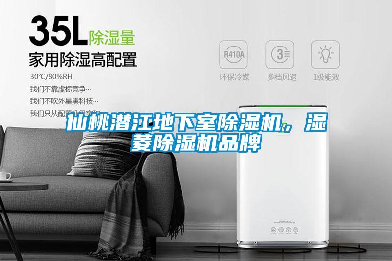 仙桃潛江地下室除濕機(jī)，濕菱除濕機(jī)品牌