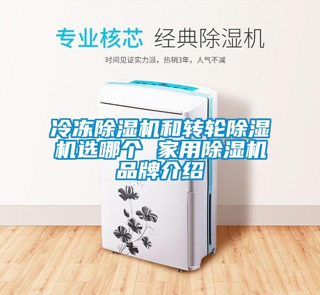 冷凍除濕機和轉輪除濕機選哪個 家用除濕機品牌介紹