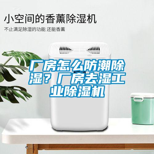 廠房怎么防潮除濕？廠房去濕工業除濕機