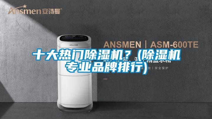 十大熱門除濕機(jī)？(除濕機(jī)專業(yè)品牌排行)