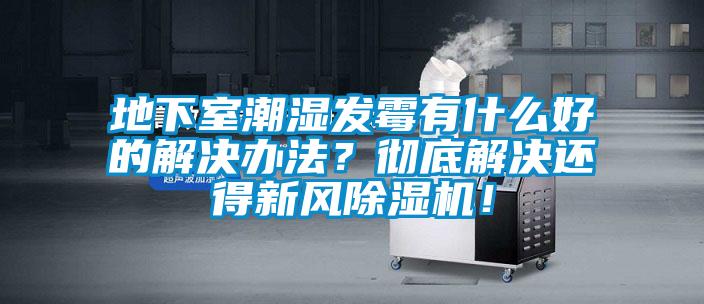地下室潮濕發(fā)霉有什么好的解決辦法？徹底解決還得新風(fēng)除濕機(jī)！