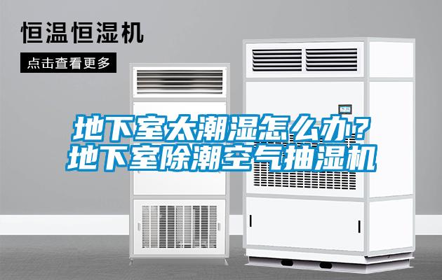 地下室太潮濕怎么辦？地下室除潮空氣抽濕機