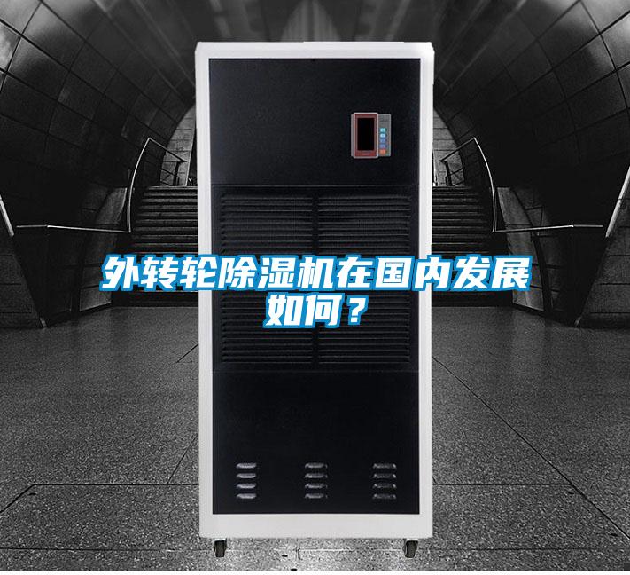 外轉輪除濕機在國內發展如何？