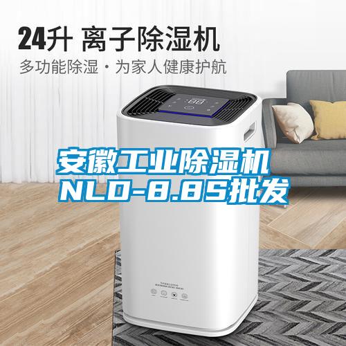 安徽工業除濕機 NLD-8.8S批發